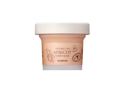 a81311ba3f1c555f6edb8689812914be skinfood food mask apricot 120g
