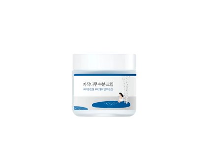 2013 round lab birch juice moisturizing cream