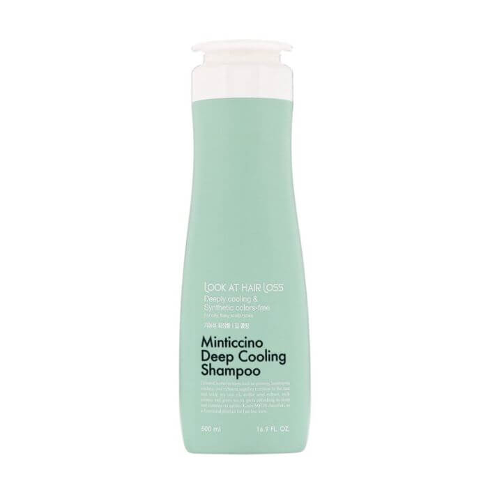 Levně Chladivý šampon s Tea tree olejem na mastné vlasy - Daeng Gi Meo Ri Minticcino Deep Cooling Shampoo