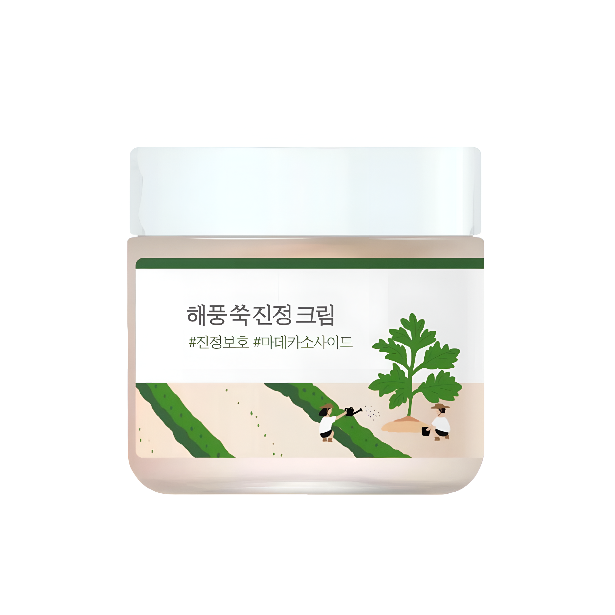 Levně Zklidňující gelový krém pro citlivou a problematickou pleť - Round Lab Mugwort Calming cream