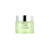 dewytree super ceramide cream 50ml 581
