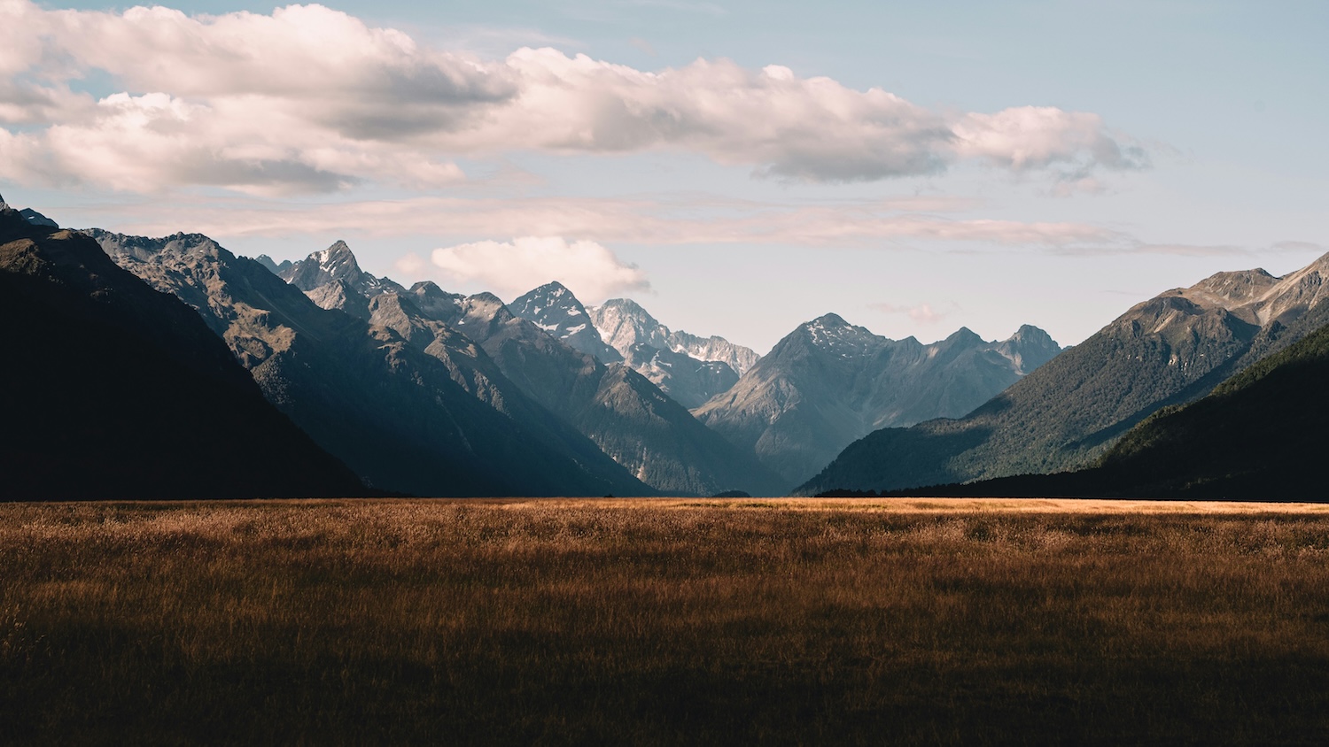 Mindent a koffeinről: hatása, forrásai, adagolása, érdekességek