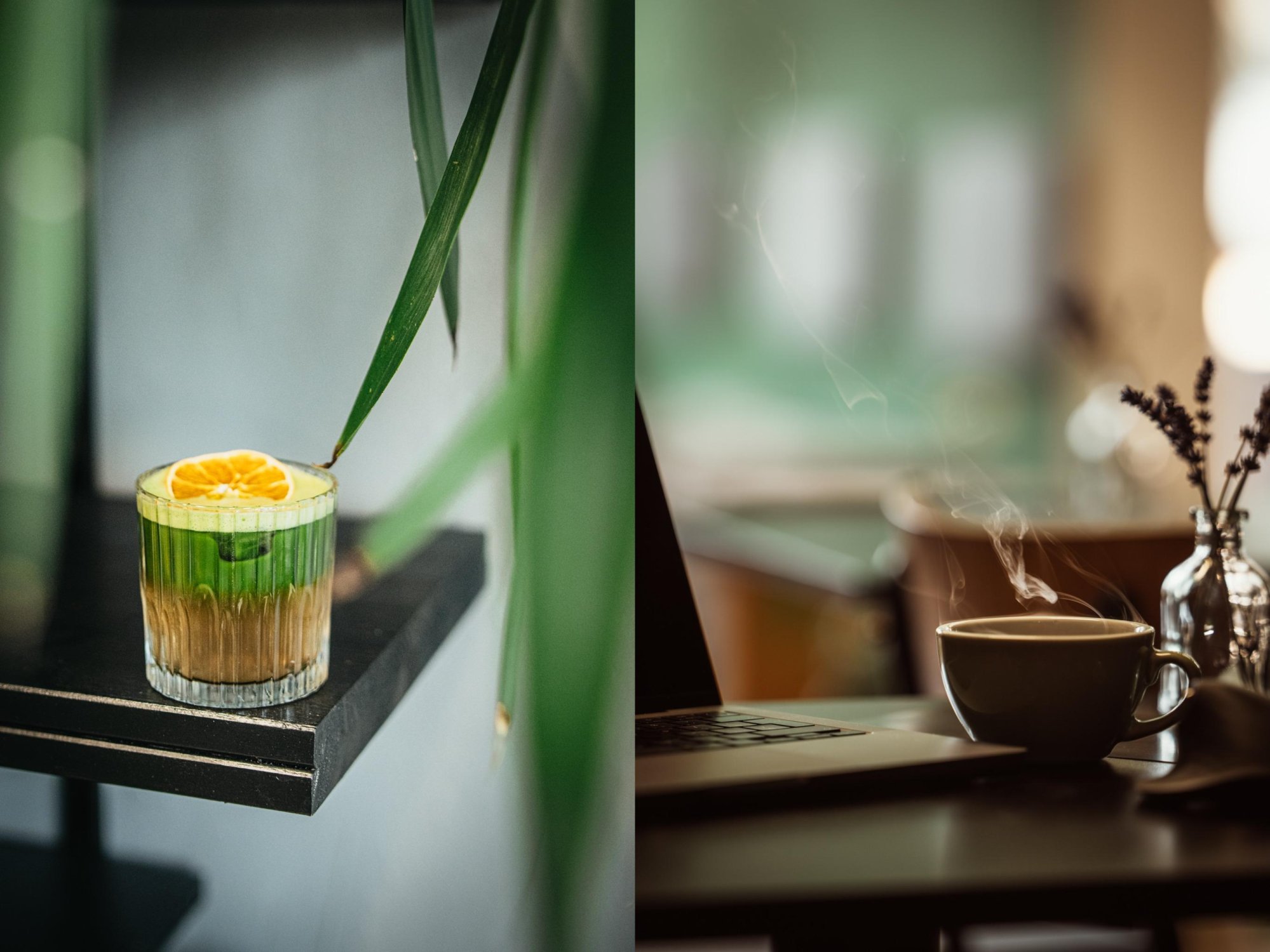 Matcha vs káva: biochémia bez mýtov