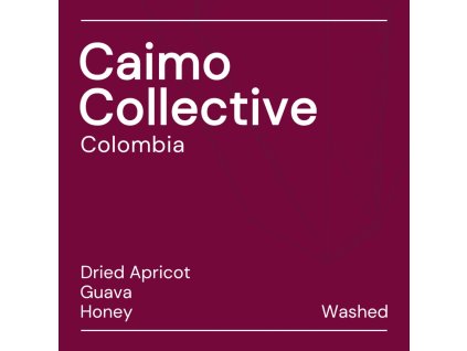 caimo collective tile 1024x1024