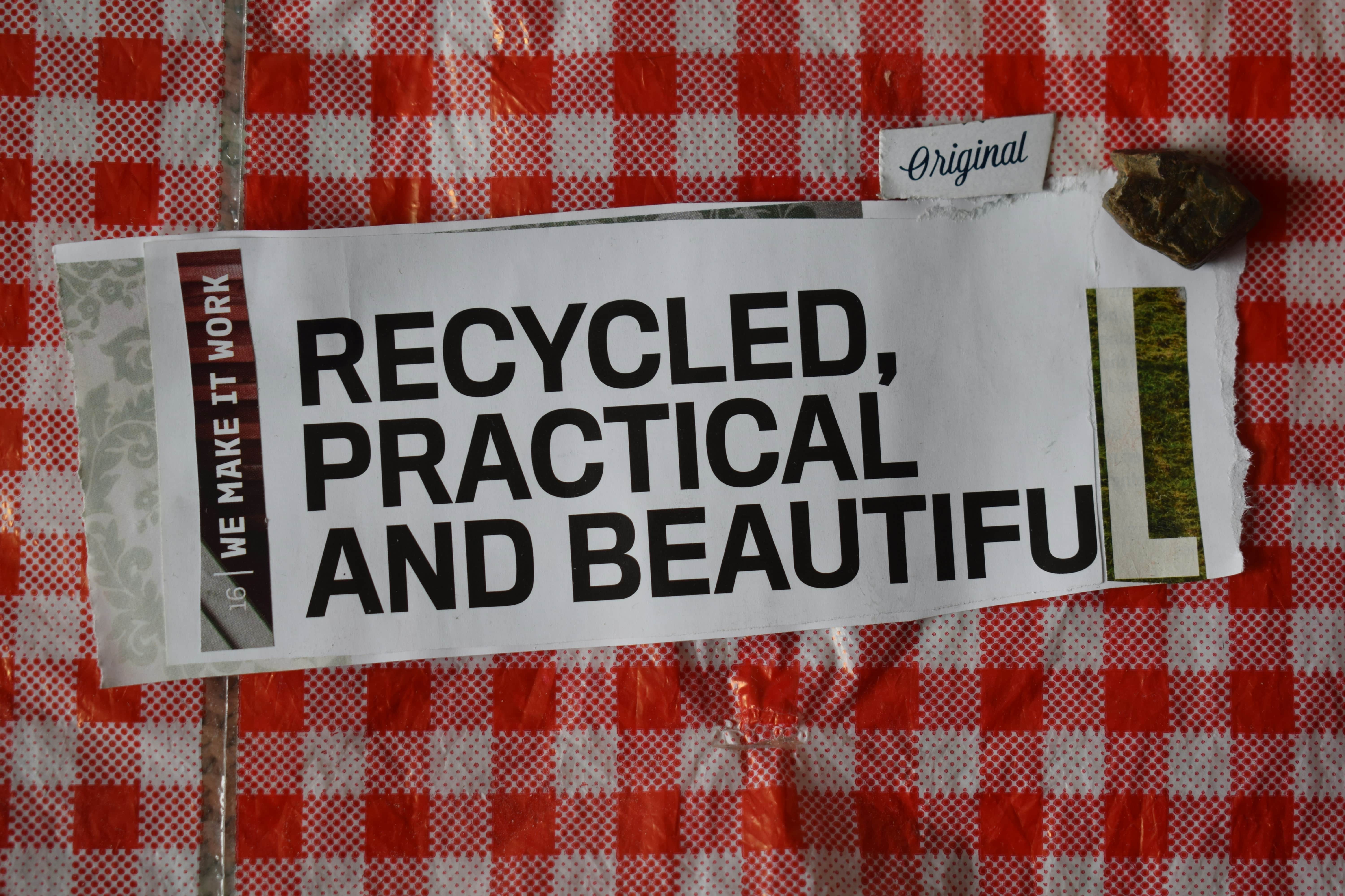 ecological_picture