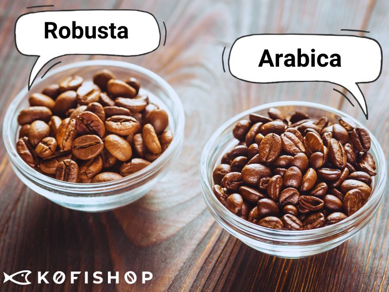 Není káva jako káva. Jak se liší robusta od zrn arabica?