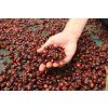 CASCARA SIRUP Višeň 250 ml