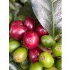 CASCARA SIRUP Višeň 250 ml