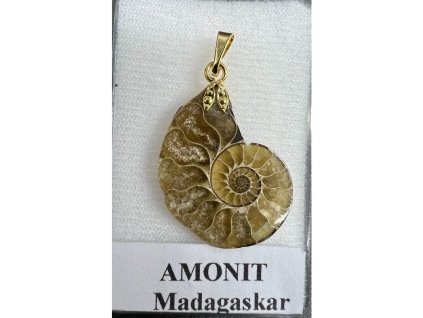 Amonit nyakék