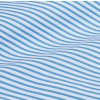 bluestripe1