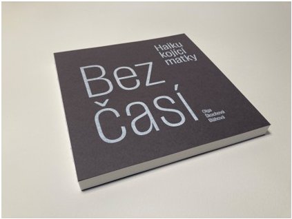 kniha vizualizace