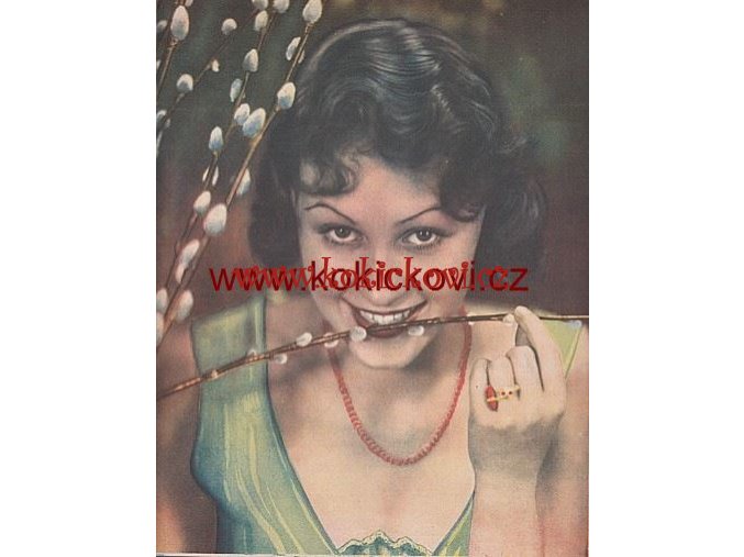 PRAŽSKÝ ILUSTROVANÝ ZPRAVODAJ - 1931 ČÍSLO 13 DEKORACE