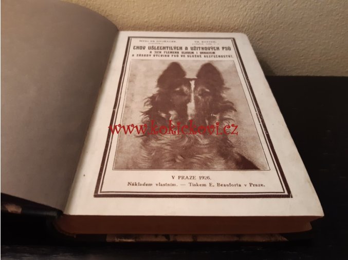 CHOV UŠLECHTILÝCH A UŽITKOVÝCH PSŮ A JICH PLEMENA Dvořáček 1926
