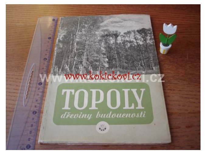 TOPOLY - DŘEVINY BUDOUCNOSTI BRNO 1946