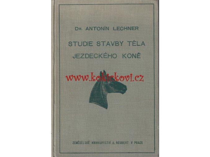 Studie stavby těla jezdeckého koně -  LECHNER 1931