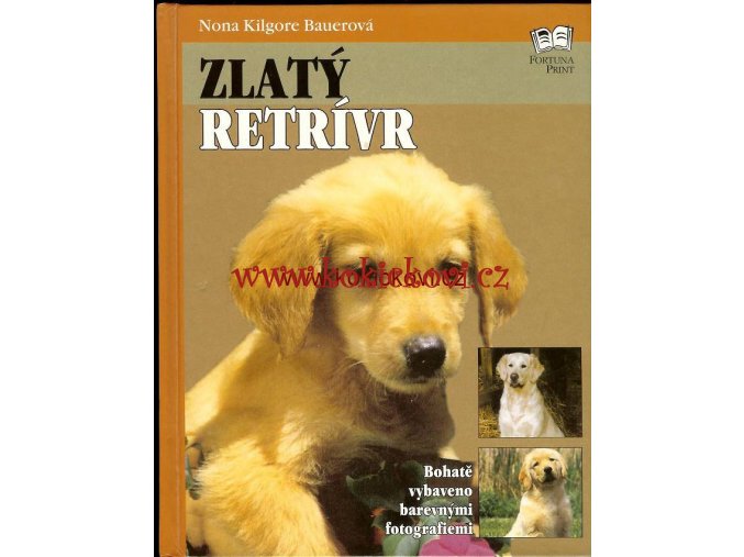 Zlatý retrívr - Praha 2000 -