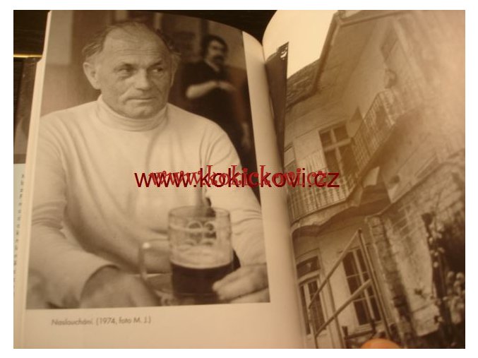 Kapitoly z poetiky Bohumila Hrabala Jankovič Torst 1996