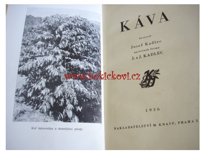 KÁVA - MONOGRAFIE - JOSEF KADLEC 1936
