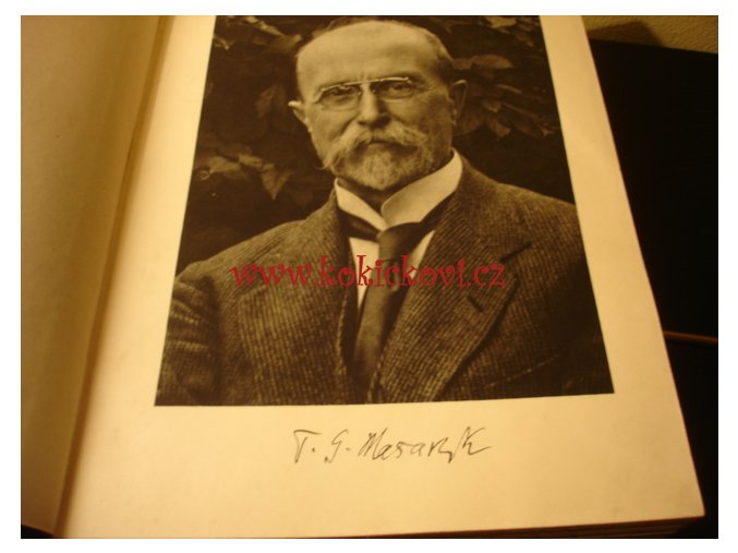 Za svobodu : obrázková kronika československého revolučního hnutí na Rusi 1914-1920. II.díl