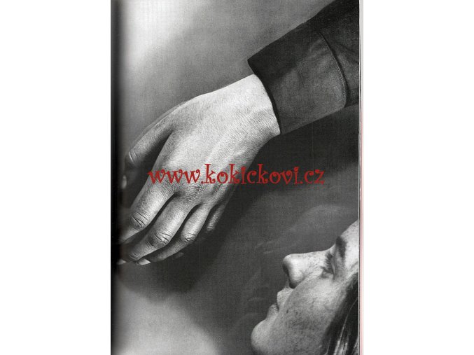 FOTOGRAFIE VIDÍ POVRCH/ Sutnar-Funke - REPRINT TORST 2003