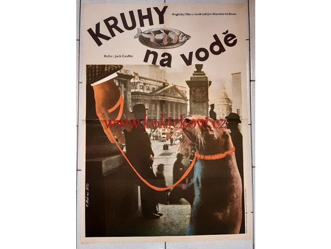 Kruhy na vodě - filmový plakát A1 - Film s neobvyklým hlavním hrdinou