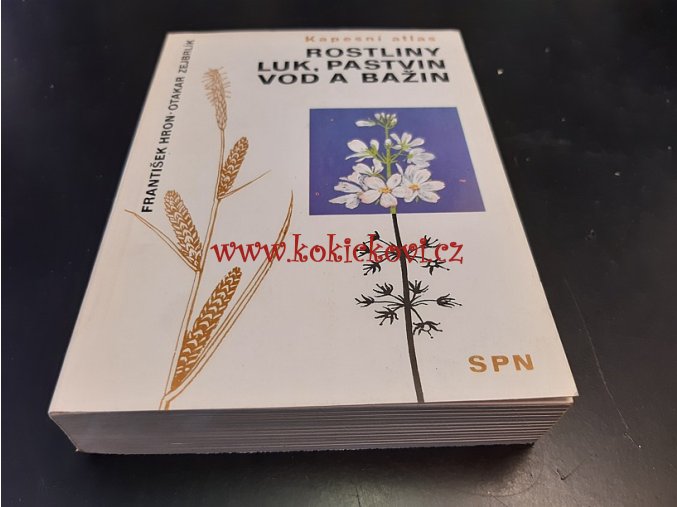 Rostliny luk, pastvin, vod a bažin