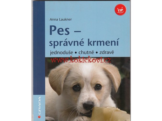 Pes - správné krmení jednoduše, chutně, zdravě