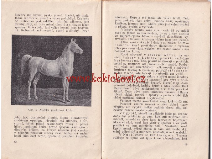 CHOV KONÍ DVOŘÁČEK 1922 - poškozeno - chybí strany 48-68