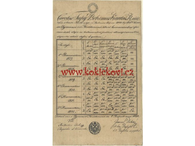 1753864012199 f02ba8ba b350 4cb1 8824 156df2b317a6 1 kopie (2)