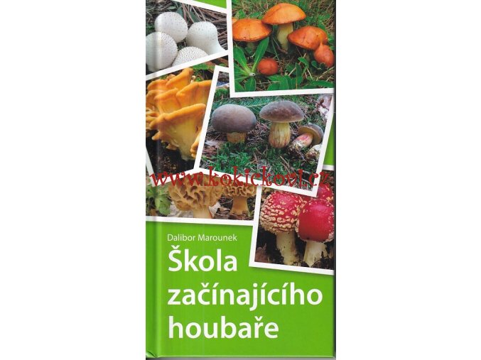 Škola začínající houbaře
