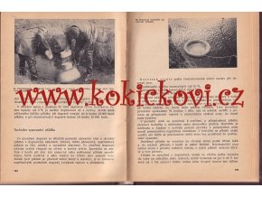 PSTRUHAŘSTVÍ A UMĚLÝ CHOV RYB