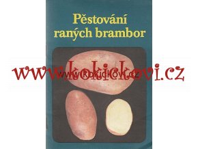 PĚSTOVÁNÍ RANÝCH BRAMBOR 1991