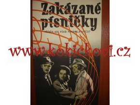 ZAKÁZANÉ PÍSNIČKY Zakazane piosenki ORIGINAL POLISH FILM POSTER