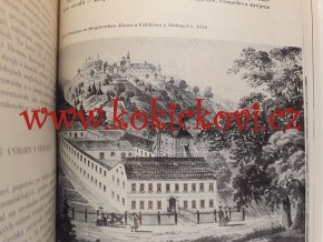 DĚJINY TECHNIKY V ČESKÝCH ZEMÍCH 1800-1918 SV.1