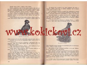 Chov holubů pro užitek i pro sport 1924 holubářství