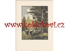 MOST NA HRADĚ VLADŠTÝN KAREL VIK BAREVNÝ DŘEVORYT 1954