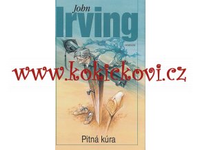 Pitná kúra - John Irving  2004 Odeon