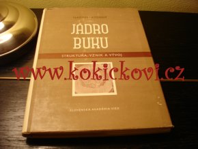 Jádro buku. Struktura, vznik a vývoj