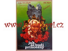 FILMOVÝ PLAKÁT A3 - JAK SE BUDÍ PRINCEZNY