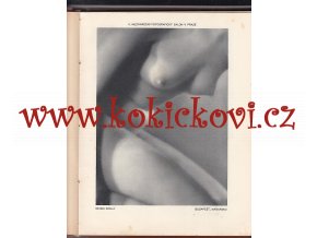 Fotografický obzor 1933 - HLUBOTISK FOTOGRAFIE - SUDEK - JÍRŮ AJ.