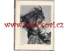 Fotografický obzor foto přílohy 1931-1935 - HLUBOTISK FOTOGRAFIE KOBLIC LANGHANS JÍRŮ HACKENSCHMIEDT AJ.