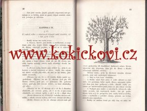 Klíč štěpařský, čili nawedení k štěpowání owocných stromů a popis nejznamenitějších druhů owocných w Čechách 1848