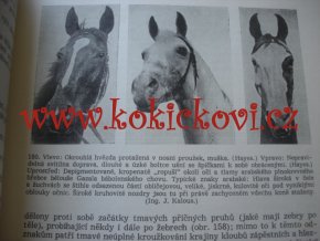 SPECIÁLNÍ ZOOTECHNIKA 2 ROK 1958 - VELMI ZACHOVALÝ STAV - LUXUS