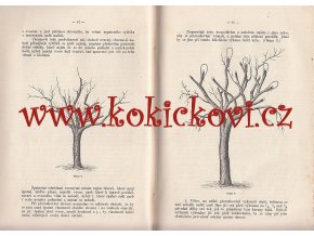 Jabloň - monografické pojednání pro české štěpaře a přátele štěpařství 1882 + 1887 (DÍL 1+2) Ladislav Burket