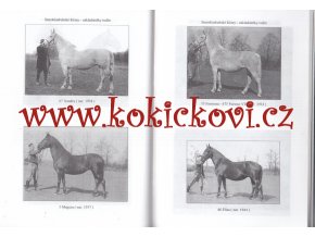 50 LET HŘEBČÍNA SLATIŇANY 1945-1995 - PUBLIAKCE K 55.VÝROČÍ A5