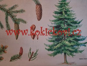 SMRK ZTEPILÝ - školní plakát s laťkami - 198? - rozměry 60*83 cm - dekorace