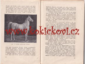 CHOV KONÍ DVOŘÁČEK 1922 - poškozeno - chybí strany 48-68