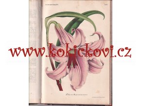 Illustrirte Garten-Zeitung 1874 - Měsíčník pro zahradnictví, ovocnářství a květinářství - 1874