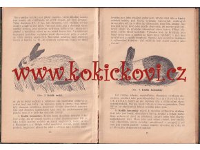 Chov králíků - Vladimír Havel Praha 1916 + Úprava pokrmů z králičího masa