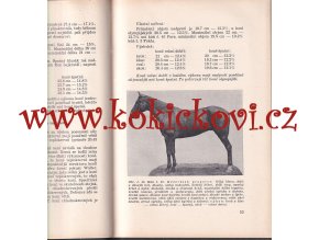 STUDIE STAVBY TĚLA JEZDECKÉHO KONĚ - LECHNER 1931 CHOV KONÍ
